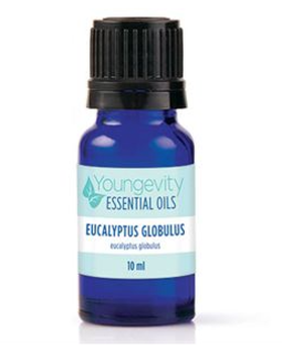 EUCALYPTUS GLOBULUS ESSENTIAL OIL – 10ML