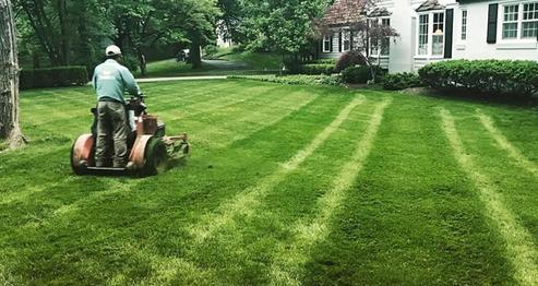 RESIDENTIAL LAWN CARE PLACITAS NM