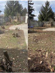 Large pieces storm damage clean up dundas Ontario, Hamilton tree services