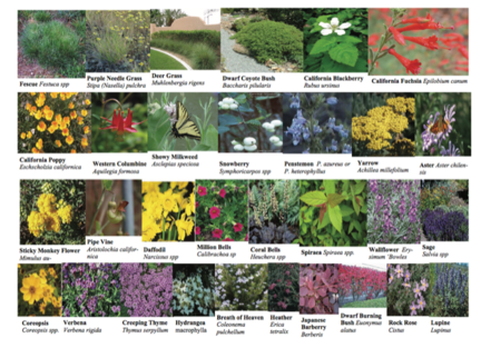 Photo Collage Plant List Sampler by Josette Johnson