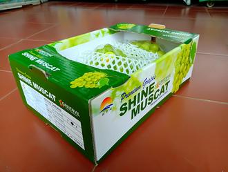 300 mẫu hộp quà tặng, hộp quà sinh nhật, hộp quà biếu sang trọng tại Hà Nội