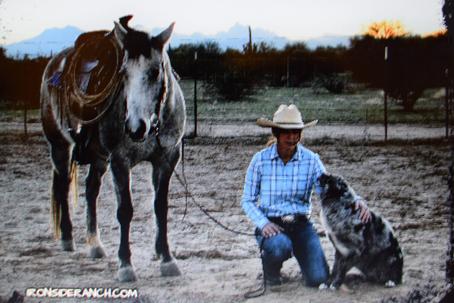 Herding Australian shepherd breeder