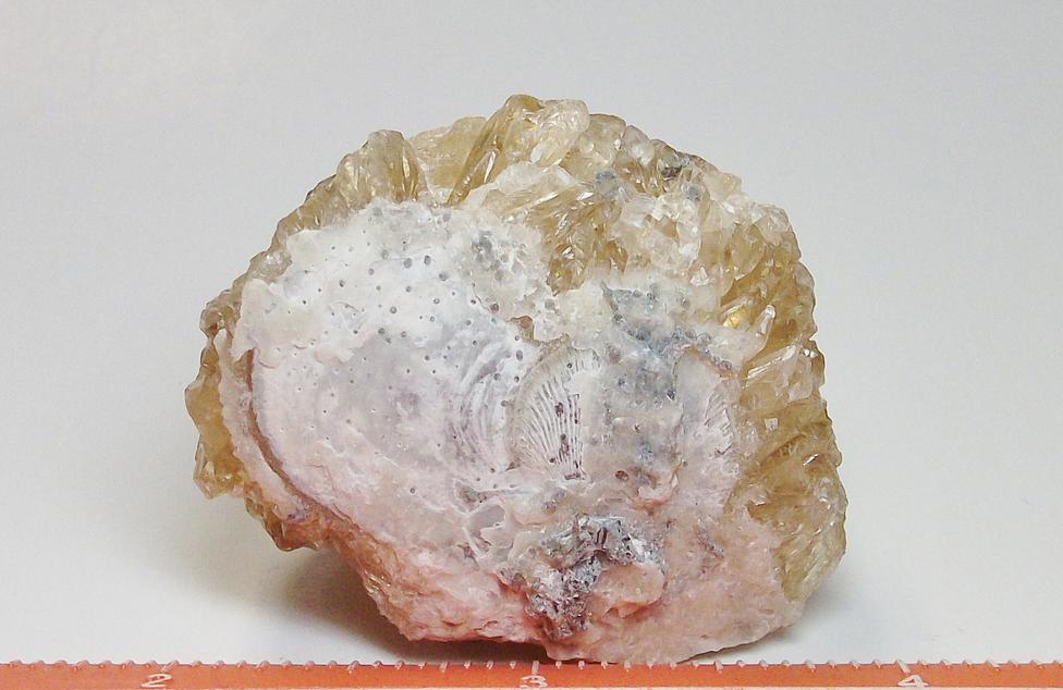 Fluorescent & Phosphorescent Calcite Rucks pit Florida