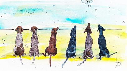 German shorthaired pointers, dogs, GSP, beach scene,
