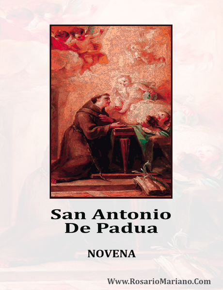 NOVENA A SAN ANTONIO DE PADUA Www,Rosaromariano.Com