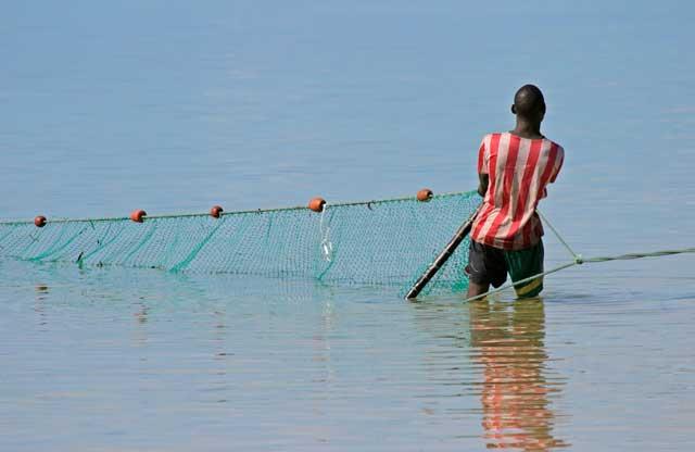 Mozambican fisherman hauling in a long seine net