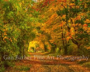 Gan Barber Fine Arts Photography
