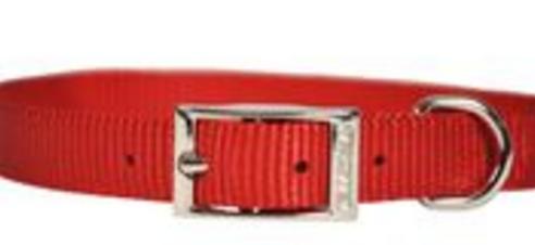 Single Layer Nylon Collar - 5/8 in Dog Collars