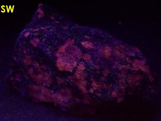 VILLIAUMITE, fluorescent SODALITE, AEGIRINE ACMITE,Kvanefjeld adit, Kvanefjeld Uranium deposit, Kuannersuit plateau (Kvanefjeld), Ilimaussaq complex, Narsaq, Kujalleq (Kitaa Province - West Greenland), Greenland, Denmark