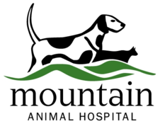 Mountain Animal Hospital