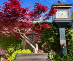 Old City Clock Gardens Designed and Cared for by Keith and Josette Johnson. Community Pride Placerville California