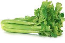 Celery