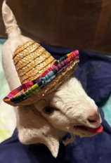 So Humiliating! I just want my bottle!