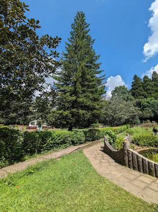 One Day Shillong Tour Package from Guwahati By Car Bus Rental Cost Price Airport Station