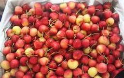 hoa quả nhập khẩu giá rẻ tại Hà Nội
