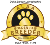 ALAA Gold Paw