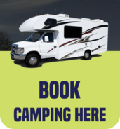mines and meadows book camping online