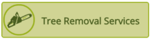 Tree Removal Service