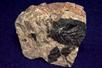 fluorescent HARDYSTONITE, WILLEMITE, BUSTAMITE and CLINOHEDRITE - Franklin Mine, Sussex County, New Jersey, USA