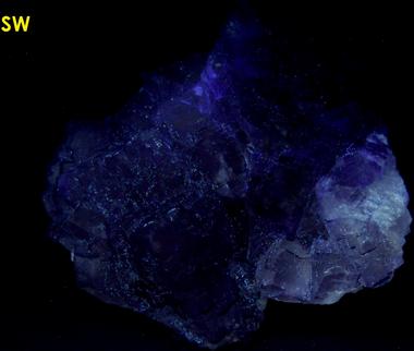 fluorescing FLUORITE - Melchor Múzquiz, Mun. de Melchor Múzquiz, Coahuila, Mexico