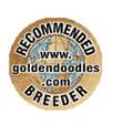 Recommended Goldendoodle breeder