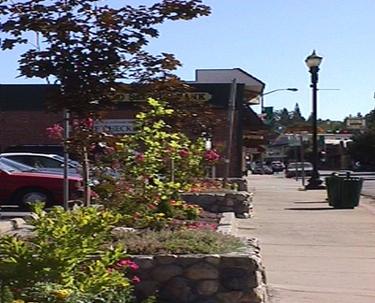 Fox Lot Garden Project Community Pride Volunteers Placerville California