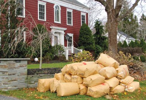 LAWN TRASH REMOVAL SERVICES