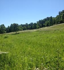 Kentucky hunting food plot soils