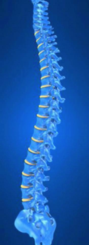 Bucks County, PA Chiropractor for Chiropractic Care - Local Chiropractor near me in Bucks County, PA