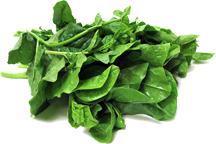 Spinach