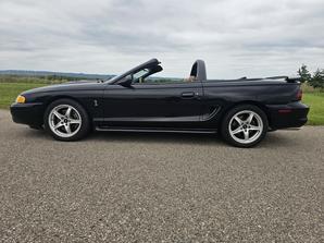 1998 Ford SVT Cobra Convertible