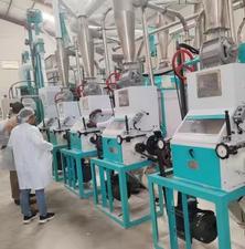 maize flour milling