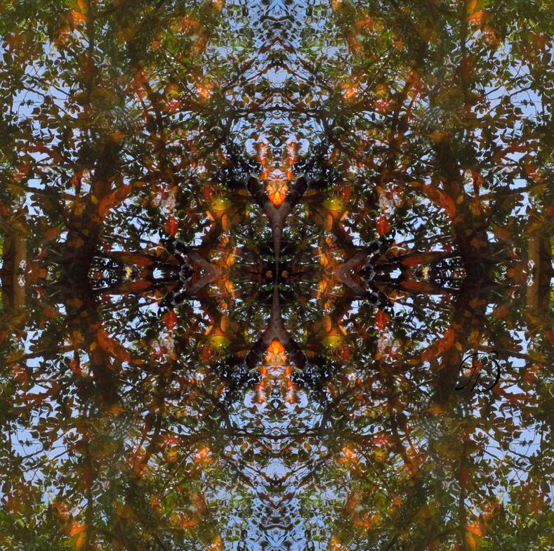Ripple & Leaf II Accessories from Fine Art Collage by Laura Davis