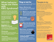 Behavior in KBG Syndrome
