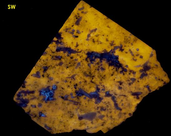 fluorescent SCAPOLITE WERNERITE, Marialite-Meionite, TREMOLITE, PYRITE - Grenville Scapolite Prospect, Grenville-sur-la-Rouge, Argenteuil RCM, Laurentides, Québec, Canada - ex Grace and Kennard Borden, ex Morris Museum