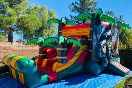 Dnn Party Rentals Water Slides For Rent Jumpers Bounce Houses