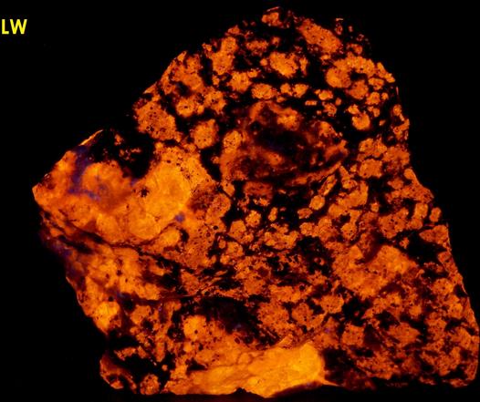 STEENSTRUPINE with fluorescing tenebrescent SODALITE, AEGIRINE ACMITE - Taseq Slope (Tasseq Slope, Taseq area), Ilímaussaq complex, Narsaq, Kujalleq (Kitaa Province - West Greenland), Greenland, Denmark - ex Tom Pankratz