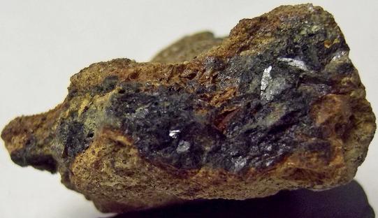 VIVIANITE with SIDERITE - Raccoon Creek, Mullica Hill, Harrison Township, Gloucester County, New Jersey, USA - ex Rutgers Geology Museum