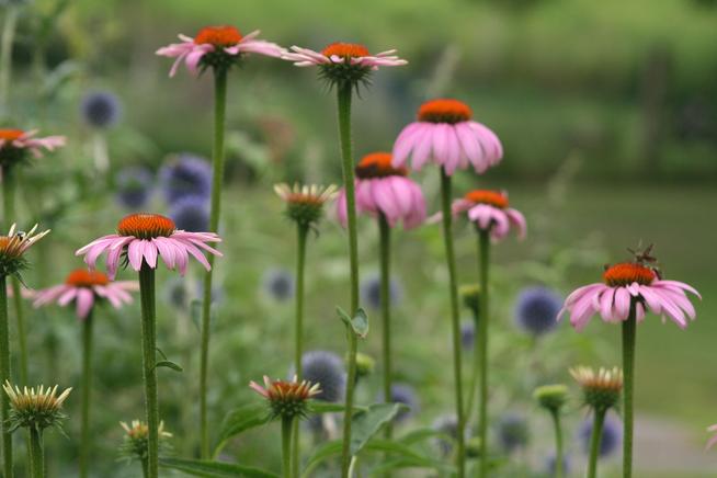 The Relaxation Response: Bringing Your Nervous System back Into Balance