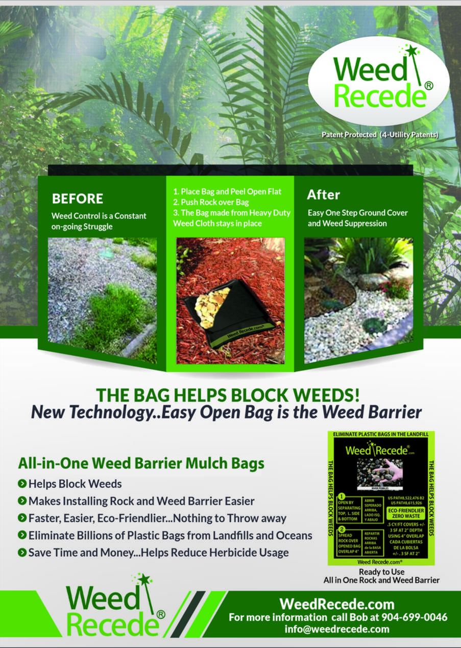 Rock Bag Flier