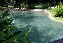 "Jamaican Rum distillery. wildlife tour, water fall hike"