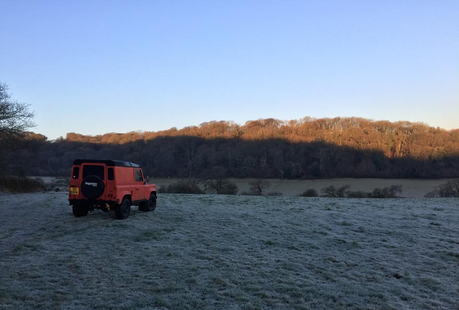 Dog Boarding Kennels, Dog Daycare Dogpanion Portbury, Bristol