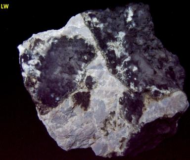 fluorescent FLUORITE, Clay Center, Ottawa County, Ohio, USA