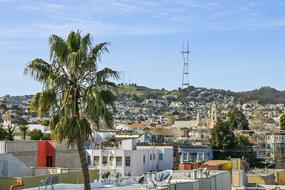 Close up view of Sutro tower, palm tree.