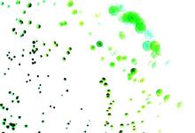 Inverted fibre opticsl picture