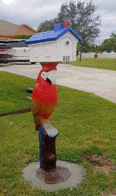 Concrete parrot mailbox