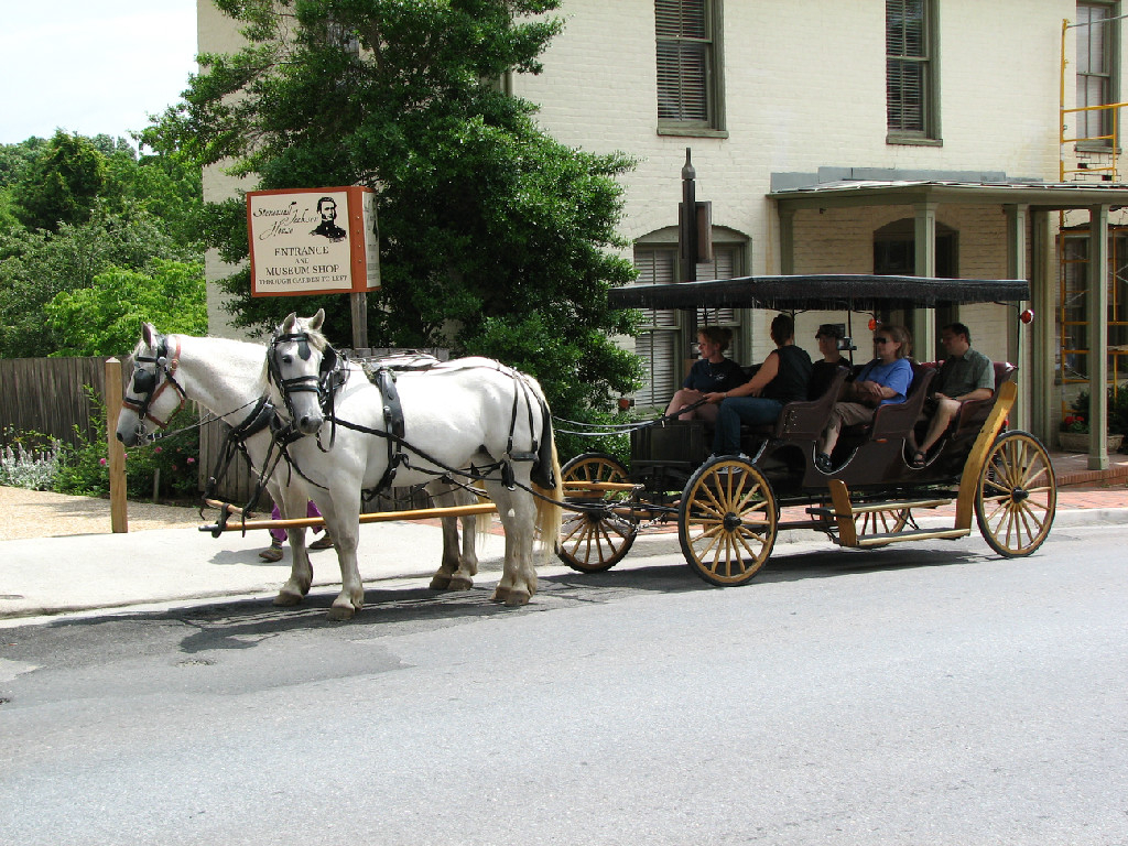 Home - Horse Drawn Carriage Company