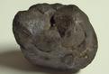 MANGANESE nodule - Hawaii Islands, USA, ex D.Rice - for sale