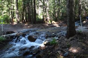 Potential Hydro Electric Site