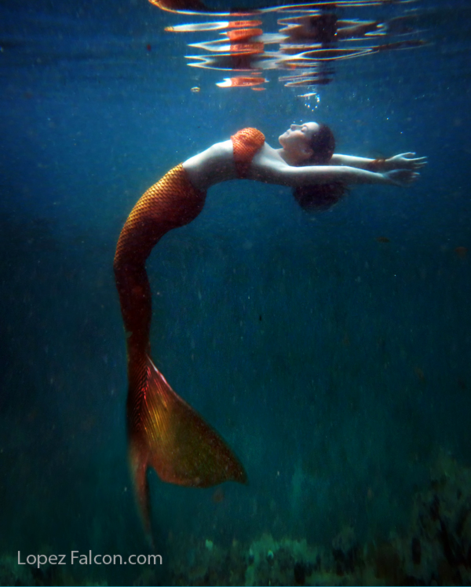 secret gardens miami mermaid sirena photography